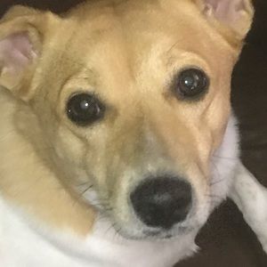 Meet your Posher, Trinity